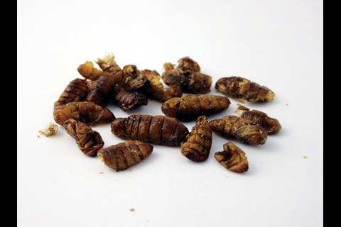 Toasted Silkworm Pupae